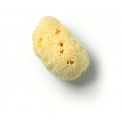 Small Ultra-Soft Sea Sponge