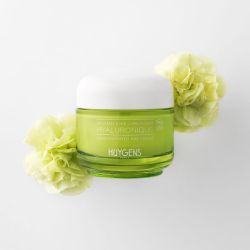 Concentrated Day Cream