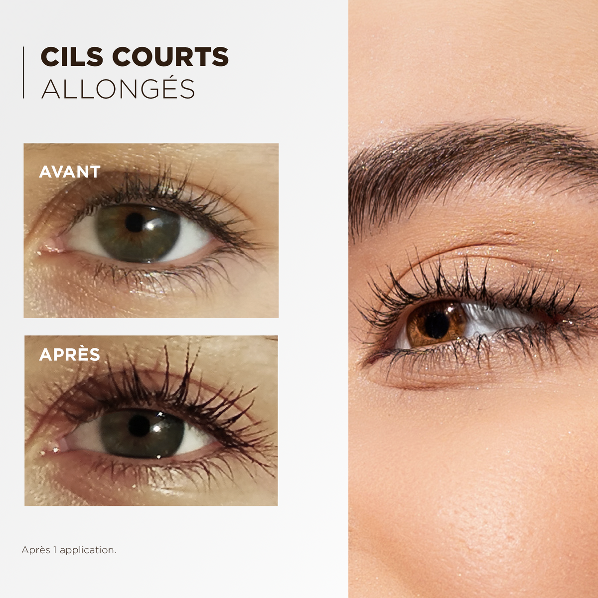 The Booster Black Lash Serum