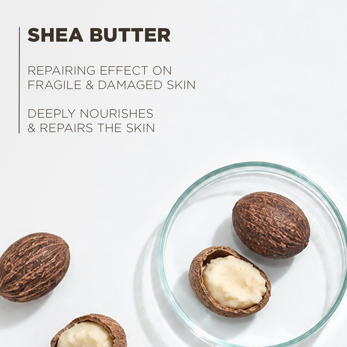 Shea butter, which repairs weakened skin, deeply nourishes and restores the epidermis