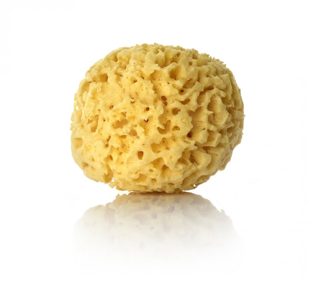 The natural sponge: the useful beauty accessory