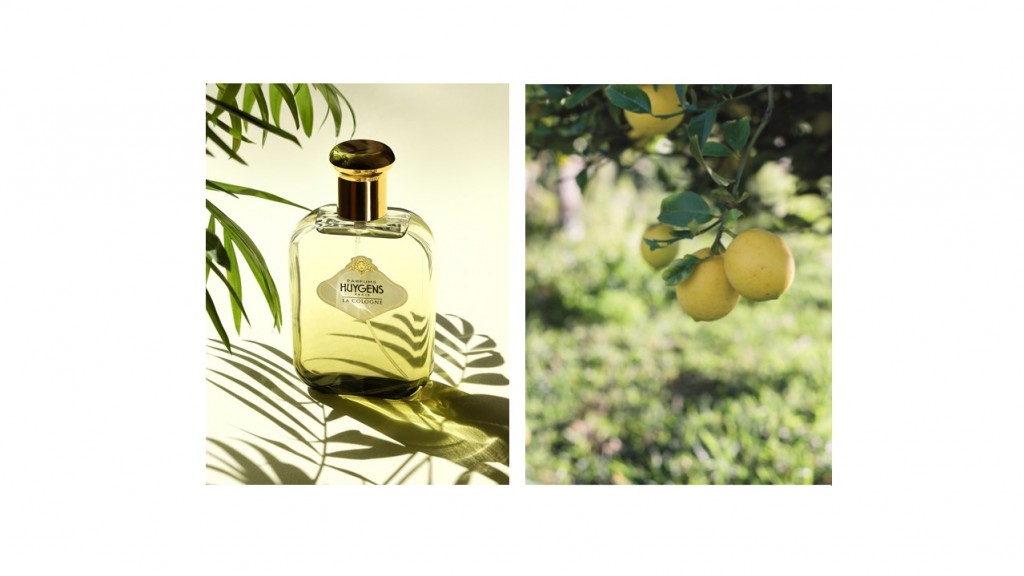 Discover the Colognes by Huygens