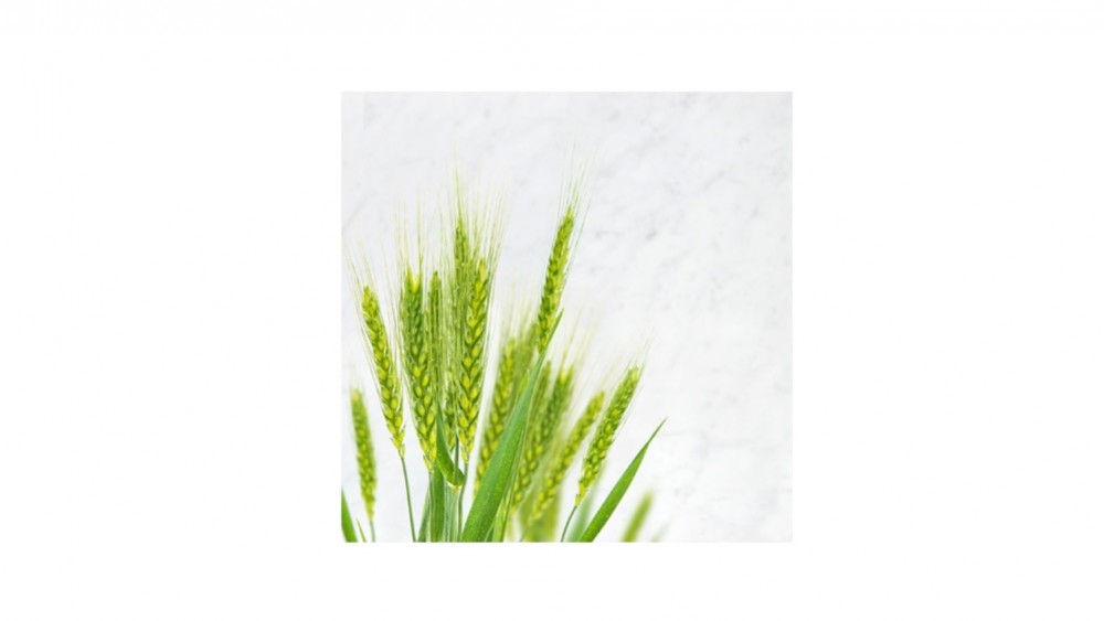 Hyaluronic acid - sodium hyaluronate & hydrolized hyaluronic acid