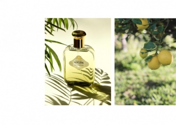 Discover the Colognes by Huygens